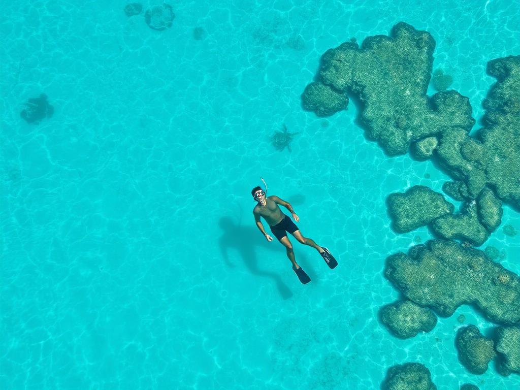 Snorkeling over a coral reef